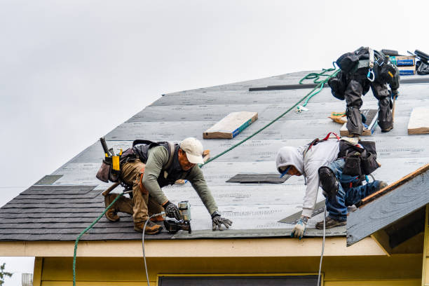 Professional Roofing technician working in Afton, WI